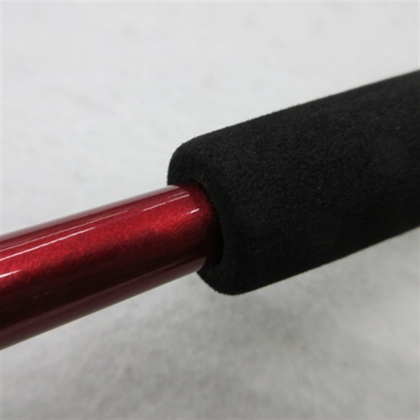 ２４アナリスターネライＭー２１０